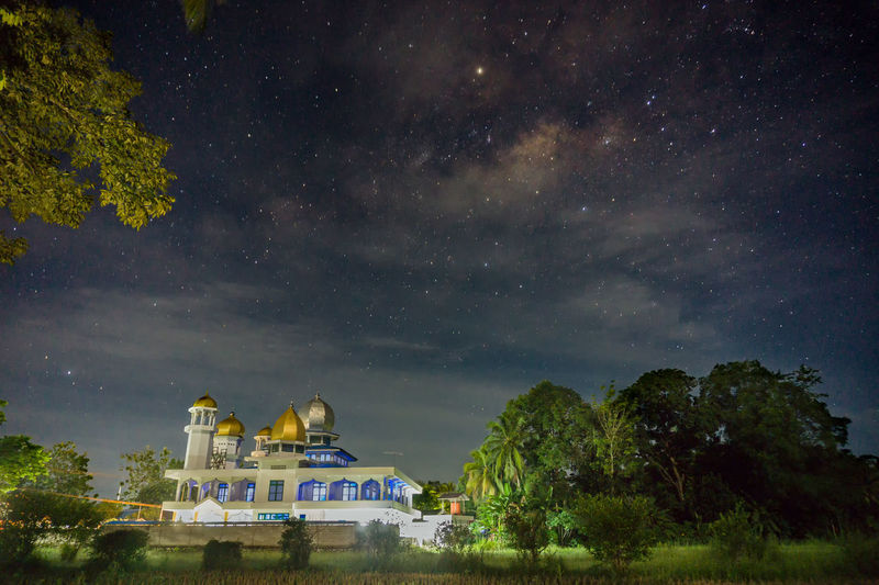 Mosque by trees against sky at night