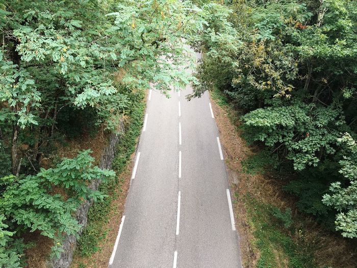 View of old road with trees from bridge