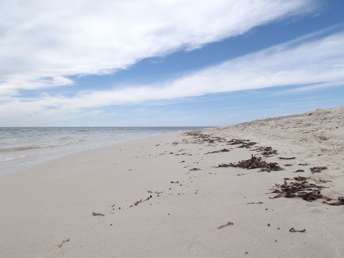 Scenic view of beach against sky
