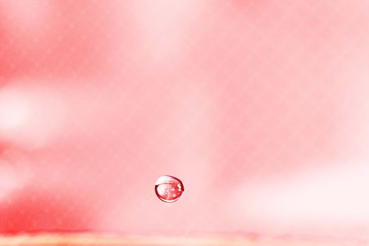 Close-up of water drop against pink background