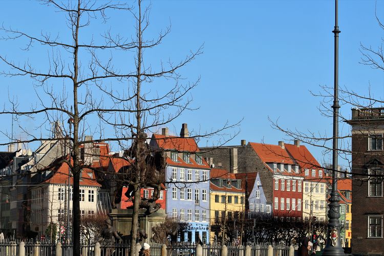 Copenhagen, nyhavn, collarful houses against blue sky, bare trees in the foreground.