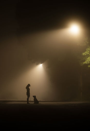 Girl and dog on foggy lamp lit street