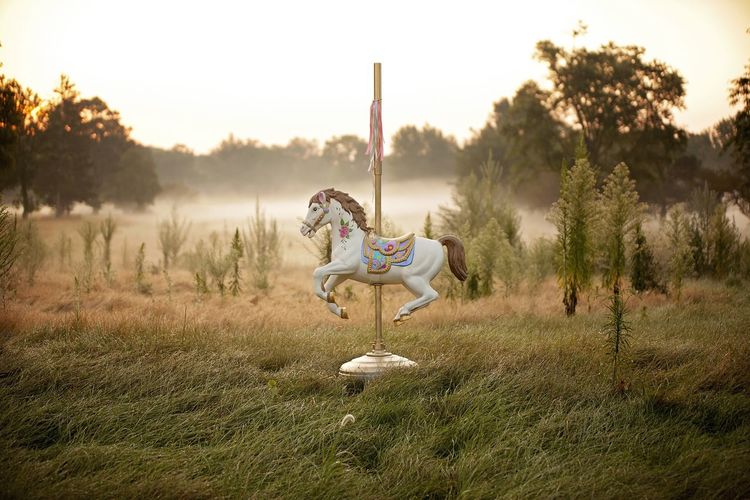 An afternoon photo of a horse carousel that has not been used for a long time.