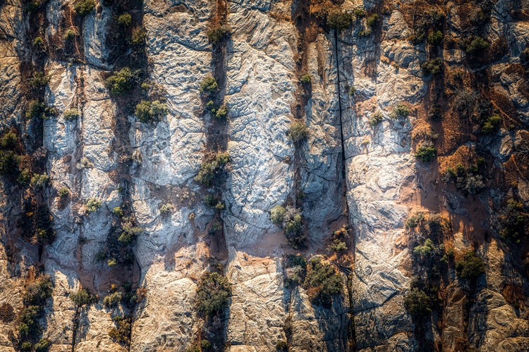 Full frame shot of rock formation in forest
