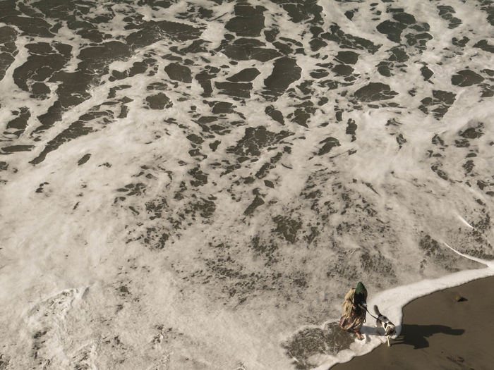 High angle view of person with dog walking on surf at beach