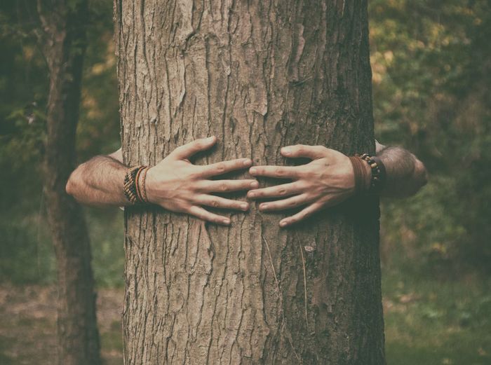 Man hugging tree trunk