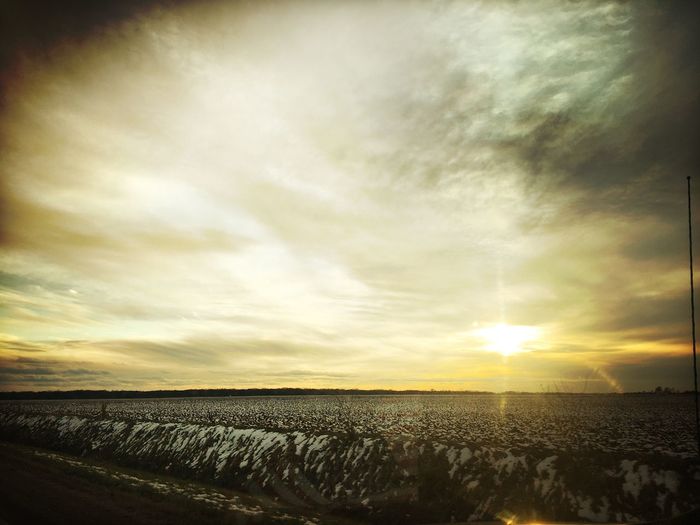 Scenic view of field against sky at sunset
