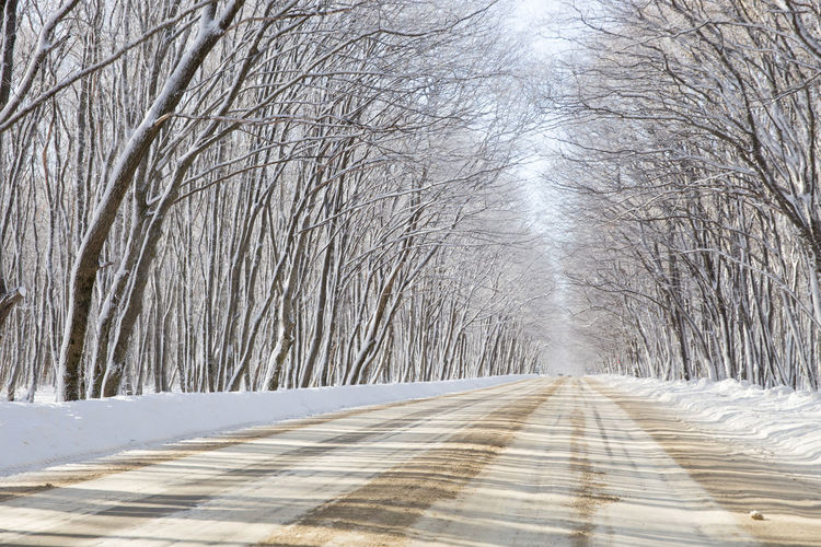 Snow covered road amidst bare trees during winter