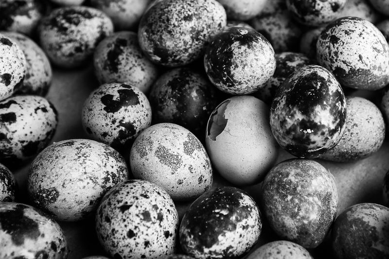 Full frame shot of quail eggs