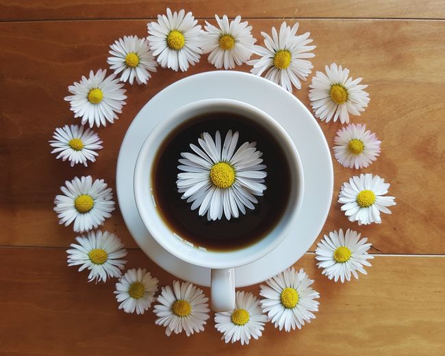 Directly above shot of white daisies decorated by coffee cup on table