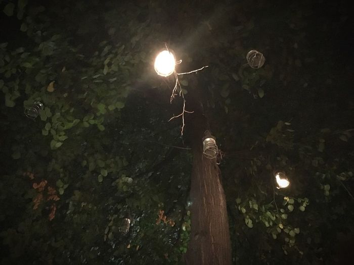 Low angle view of illuminated street light