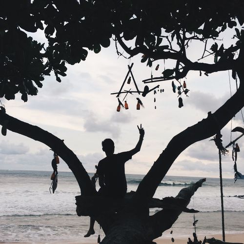 Rear view of silhouette man gesturing peace sign on tree at beach