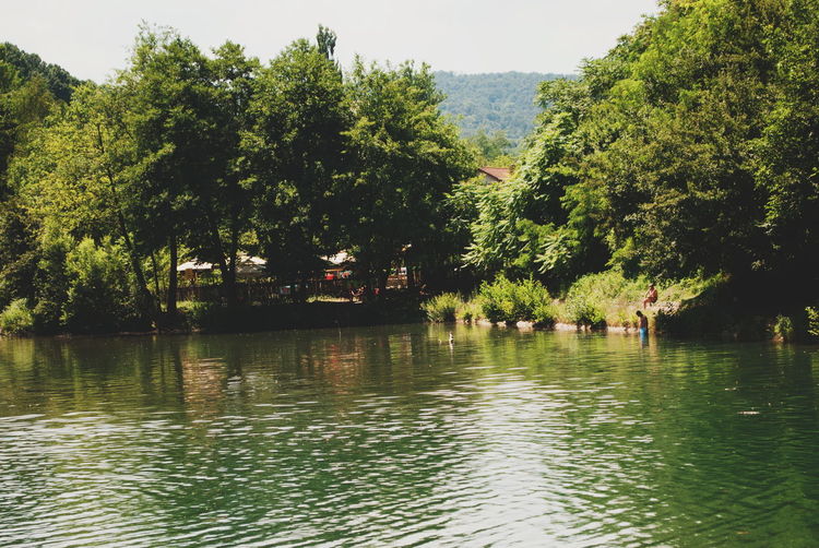 Scenic view of lake with trees in background