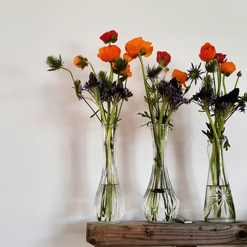 Vases with flowers on sideboard against wall