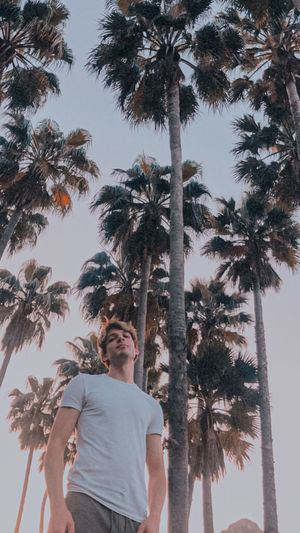 Low angle view of young man standing by palm trees against sky