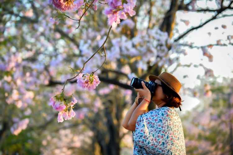 A woman photographer shooting cherry blossom in flower garden on holiday