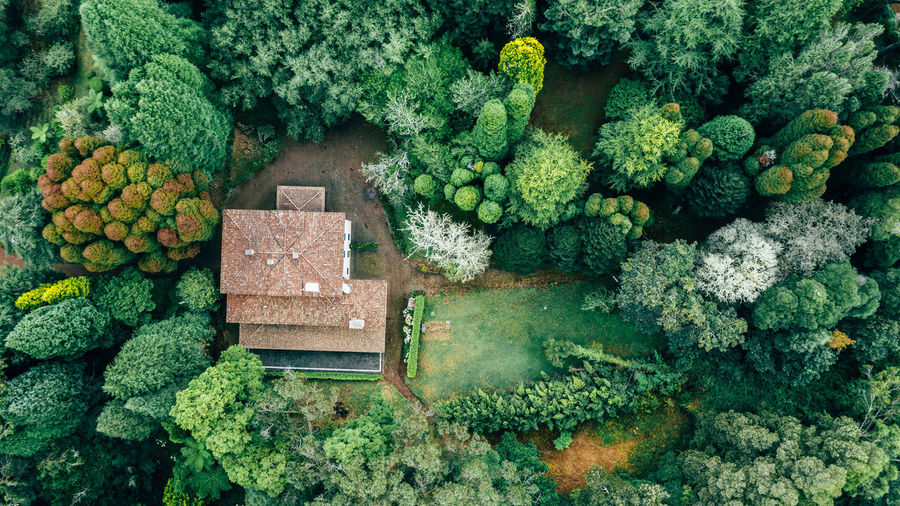 Drone aerial view of red roof tile house surrounded by trees
