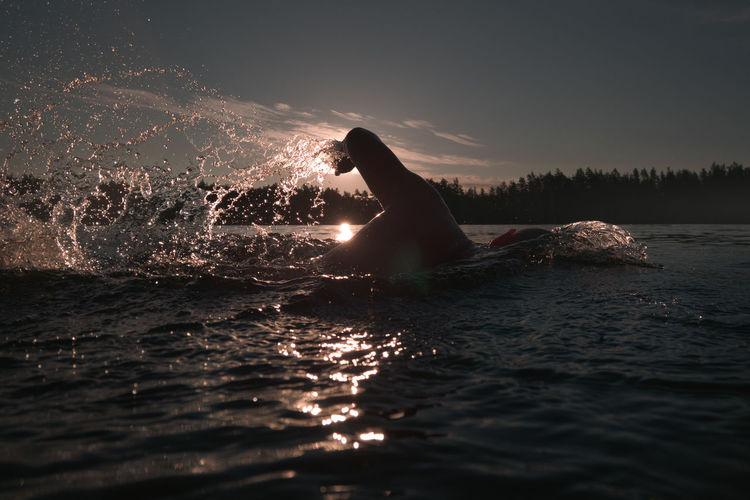 Athlete swims in open water freestyle. splashes of water are backlit by the setting sun
