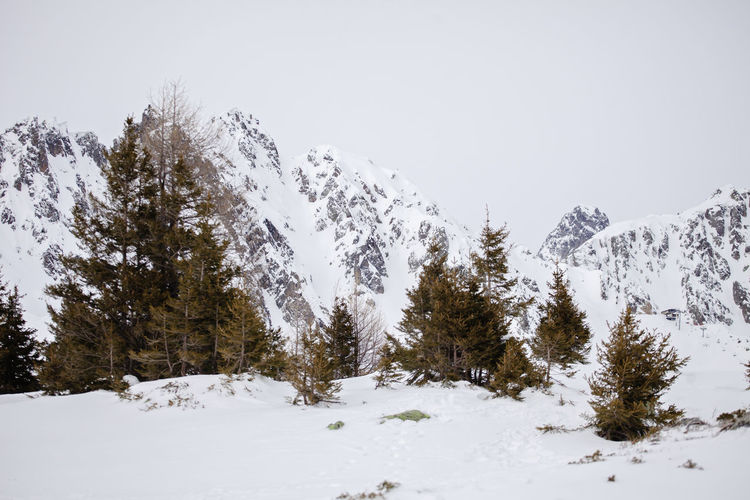 snow