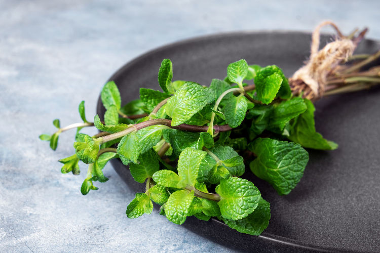 Bunch of sprigs of mint lies on black plate. mint is used in cooking and alternative folk medicine