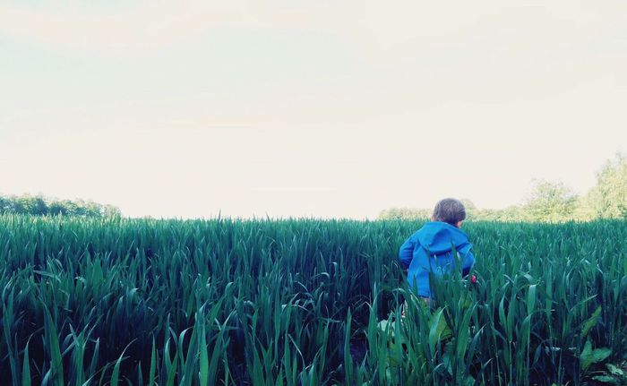 Rear view of boy amidst plants on field against sky