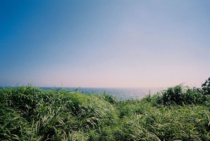 Grassy field against sea and clear sky