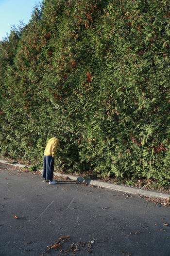 Hide and seek