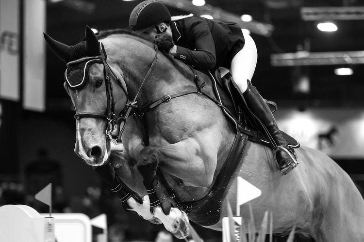 Horse jumping, equestrian sports themed photograph in black and white.