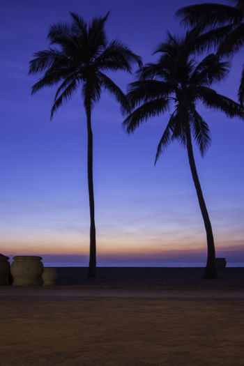 Palm trees on beach against sky during sunset