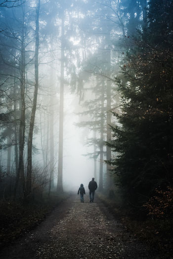Rear view of men walking in forest