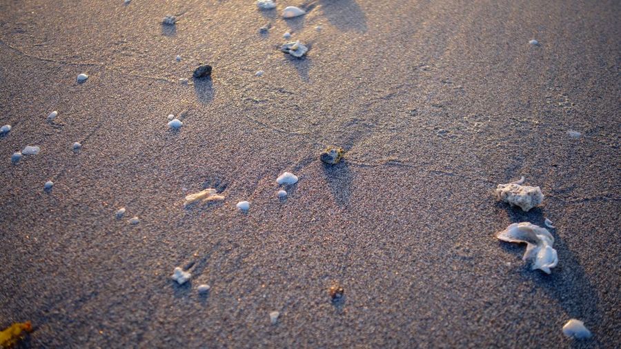High angle view of sand on beach