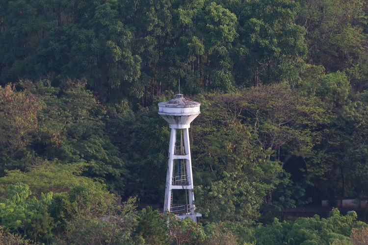 View of tower amidst trees in forest
