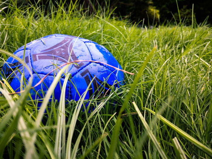 Close-up of blue ball on field