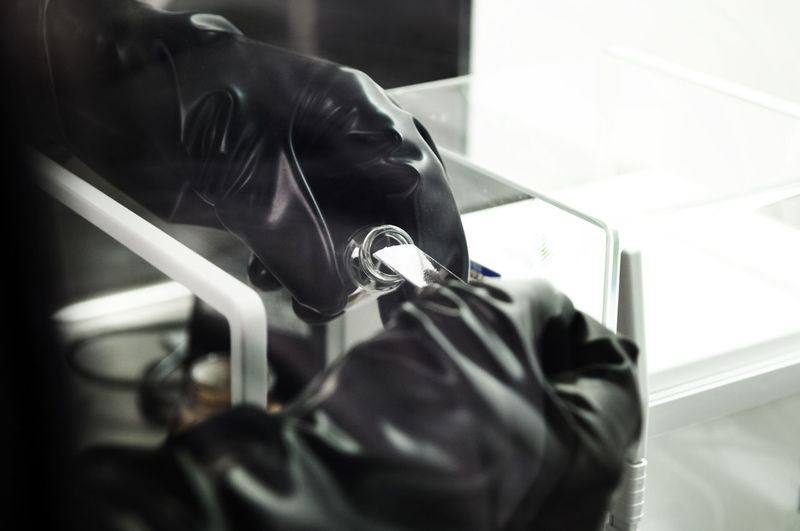 Cropped image of scientist examining sample in laboratory