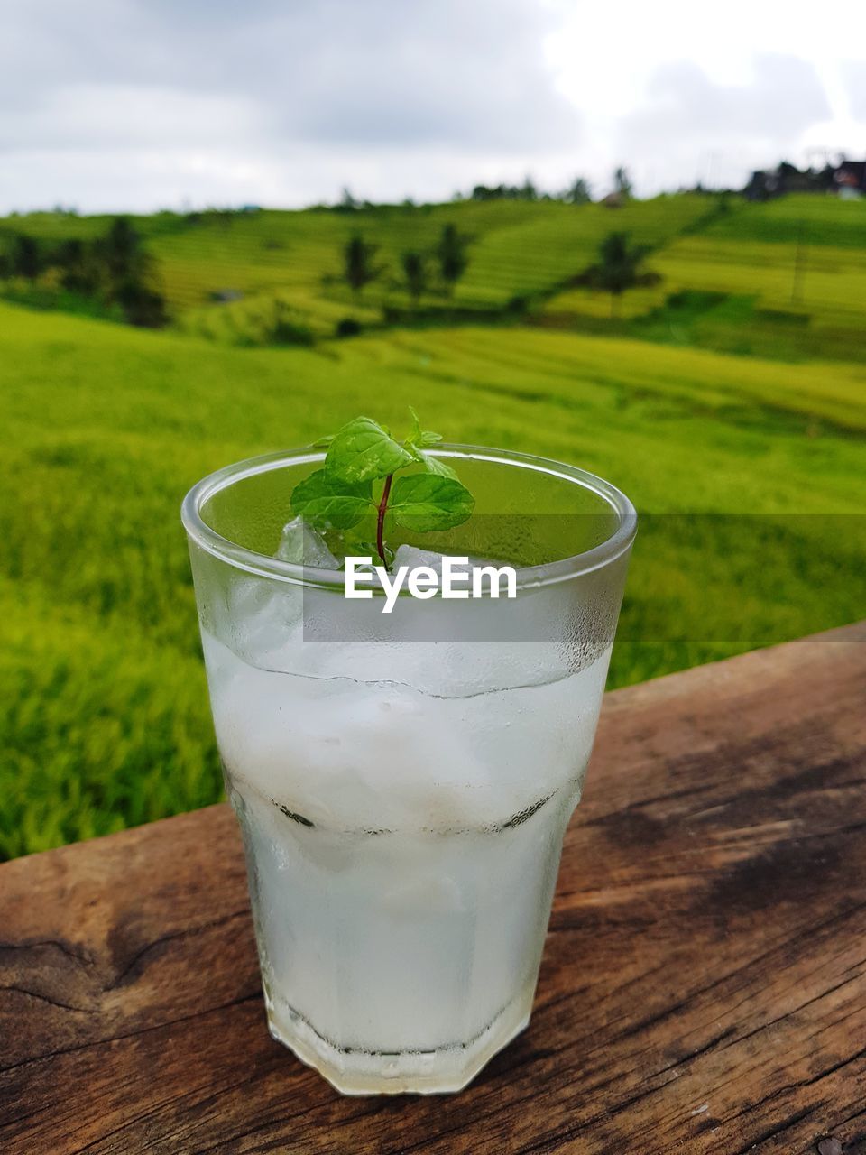 CLOSE-UP OF FRESH DRINK ON TABLE AGAINST SKY