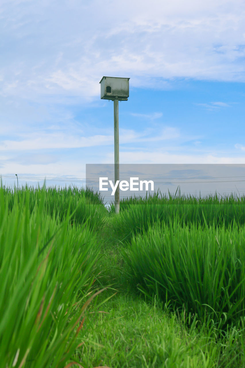 SCENIC VIEW OF FARM