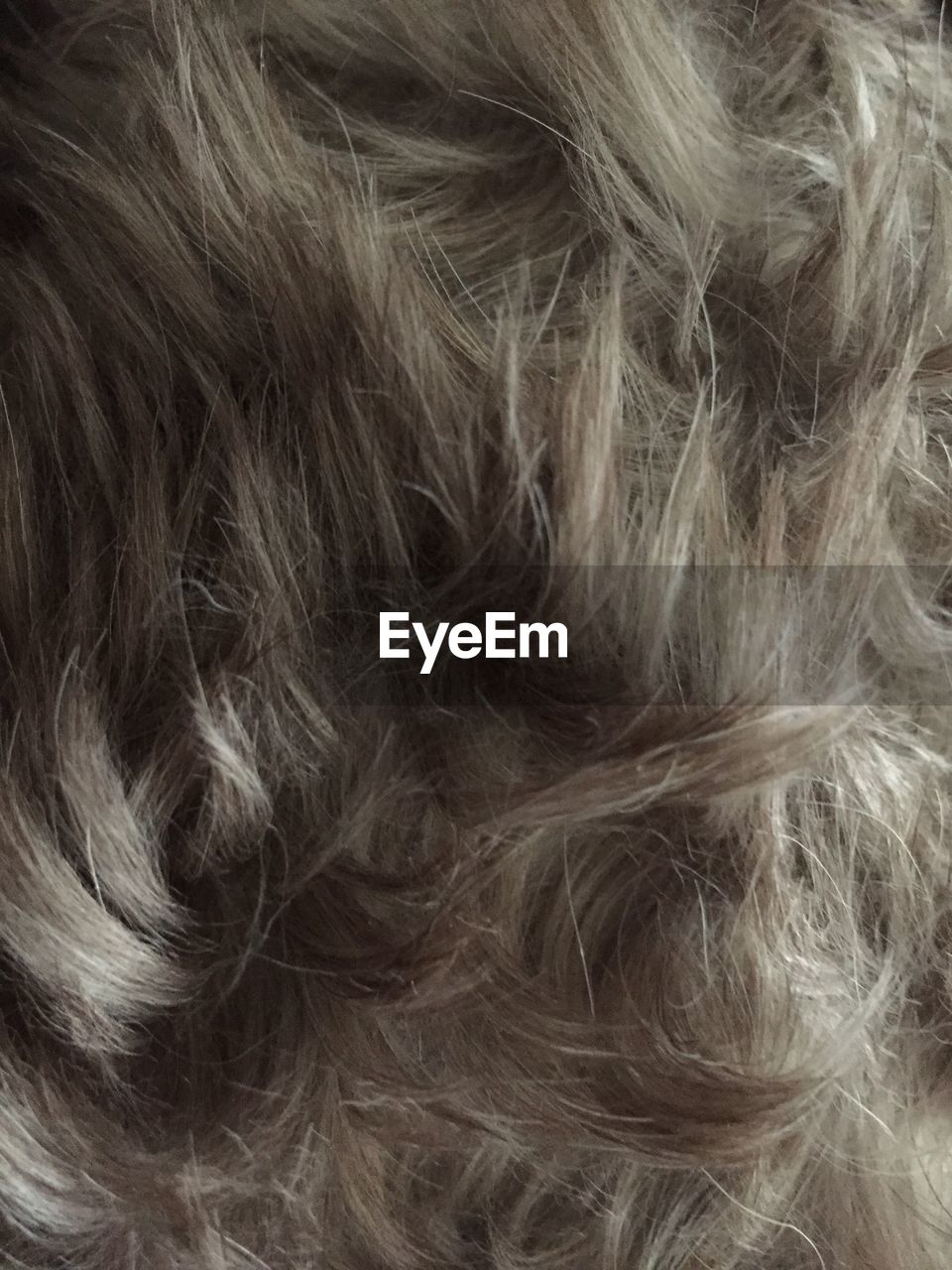 CLOSE-UP OF HUMAN HAIR IN THE BACKGROUND