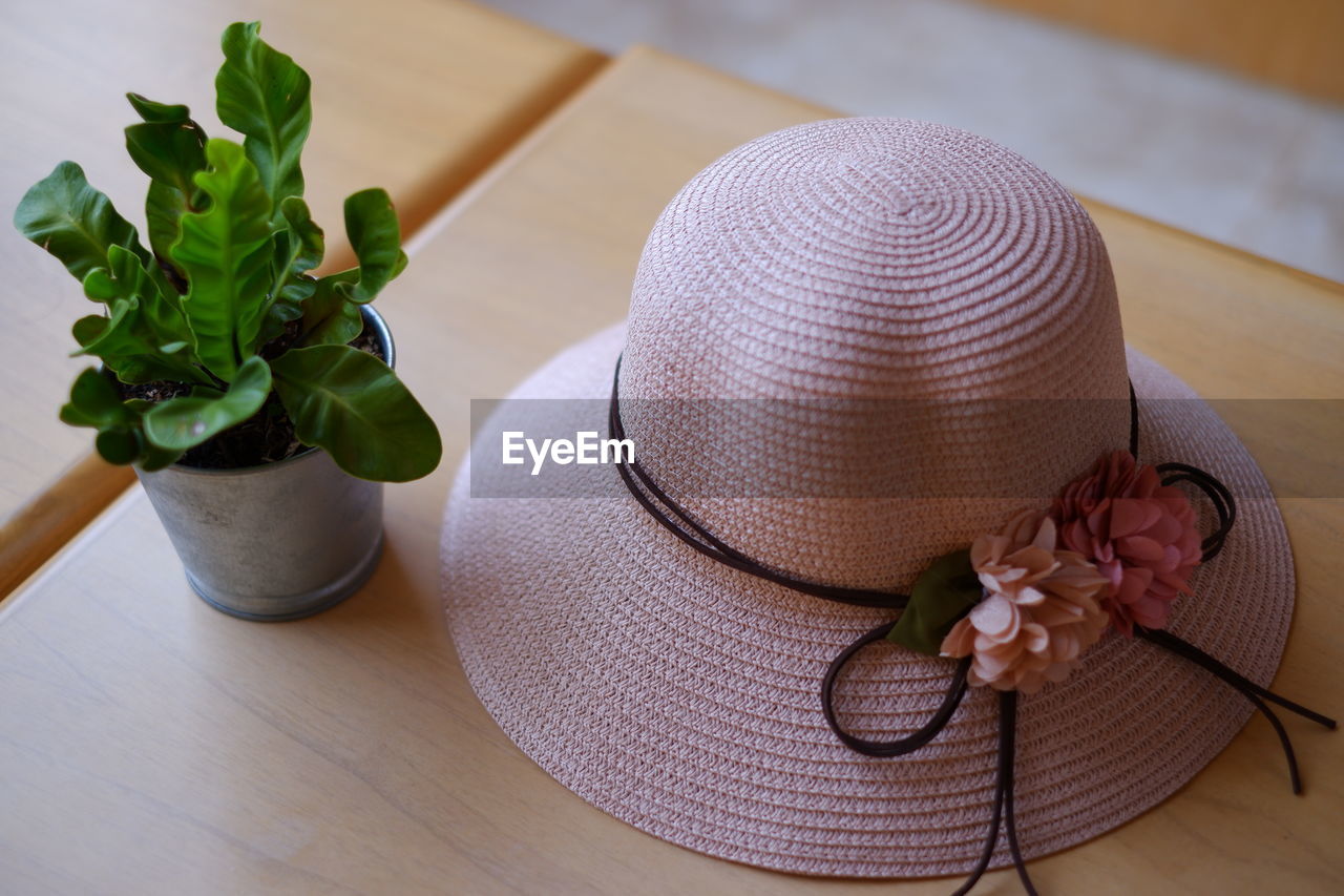 Close-up of hat and potted plant on table