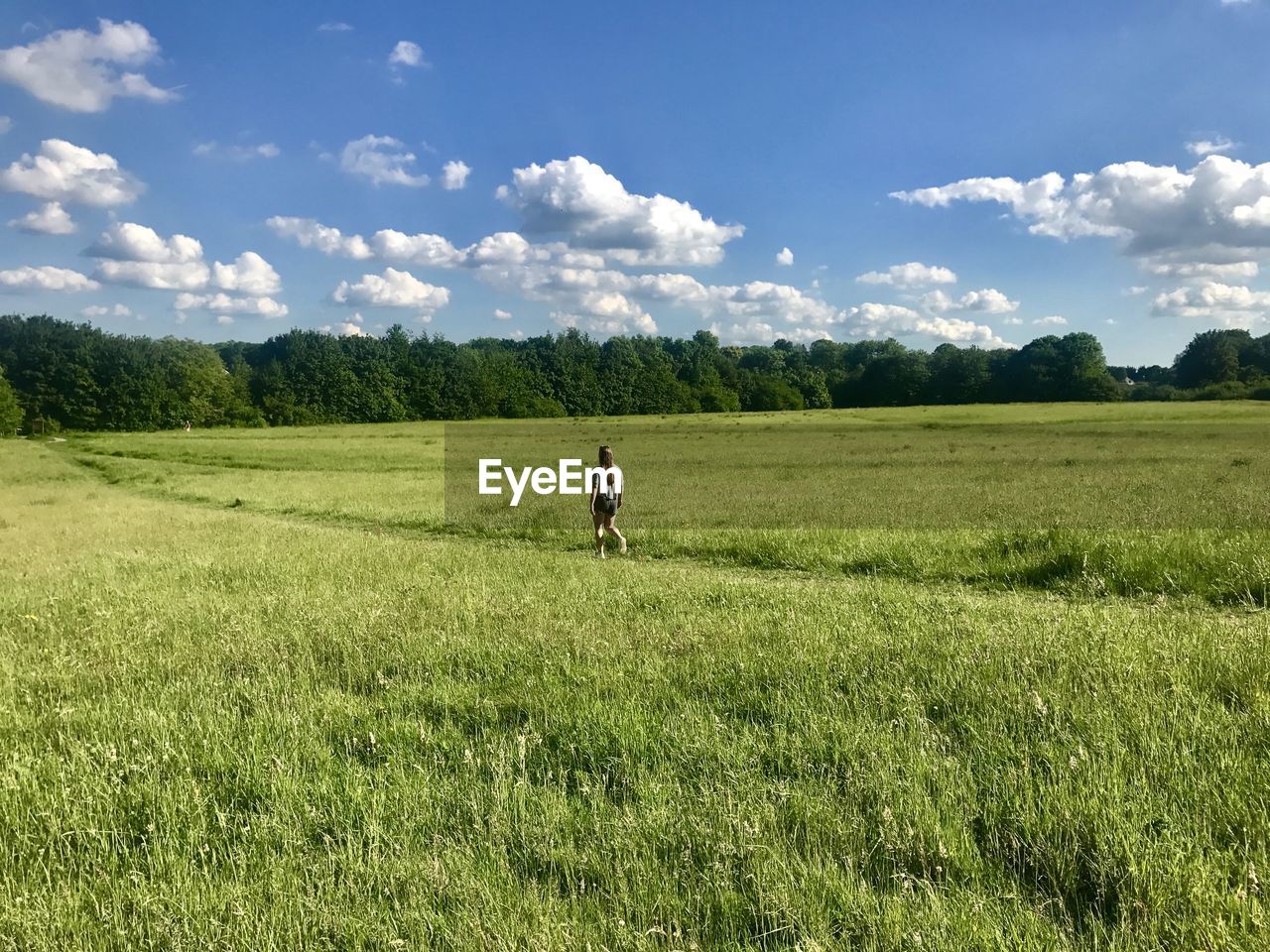 MAN WORKING IN FIELD AGAINST SKY