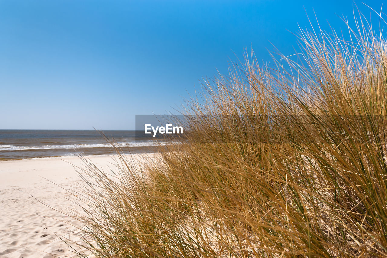 VIEW OF SEA AGAINST SKY