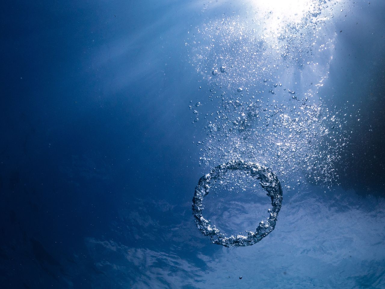 Close up of bubble ring in sea