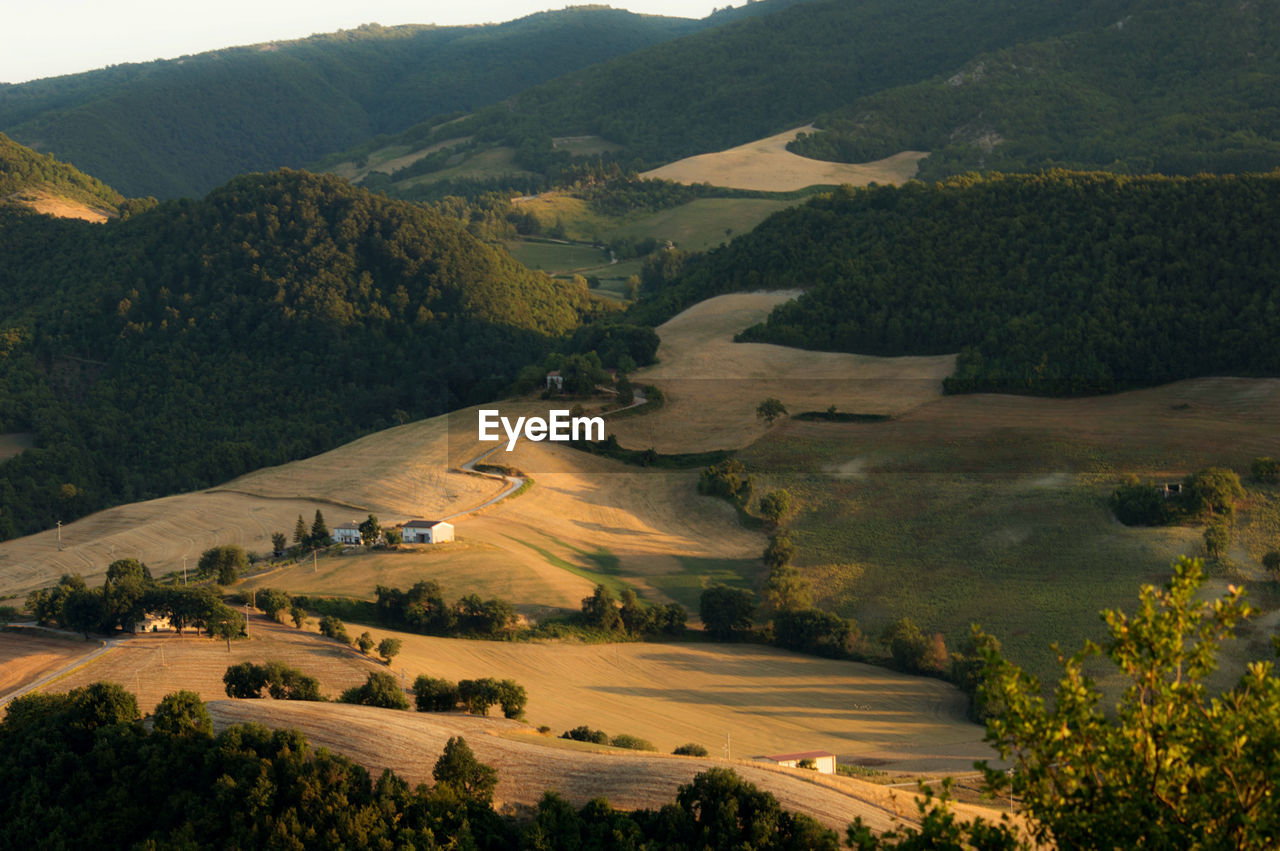 Scenic view of rural idyllic landscape