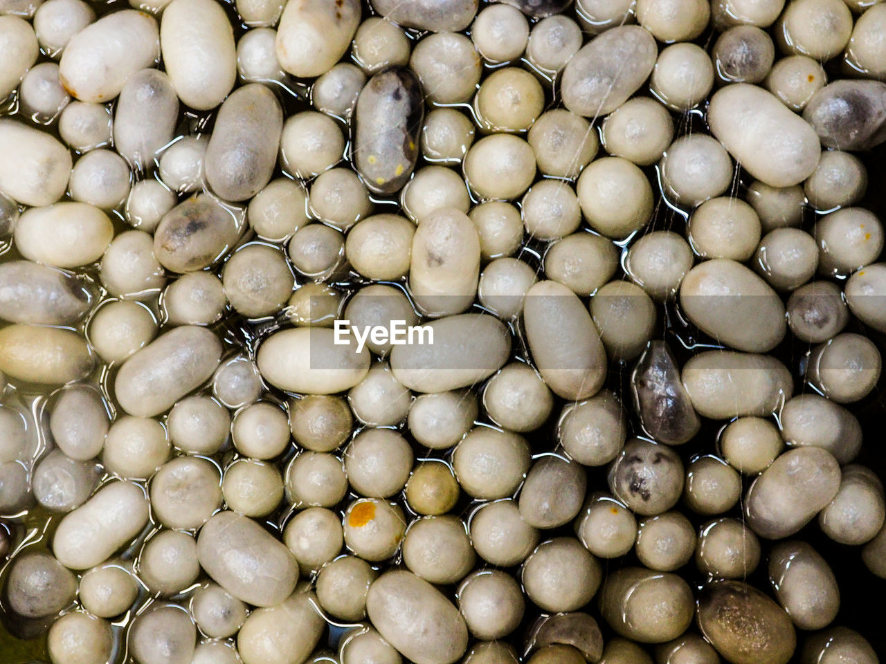 Full frame shot of silkworm cocoons in water