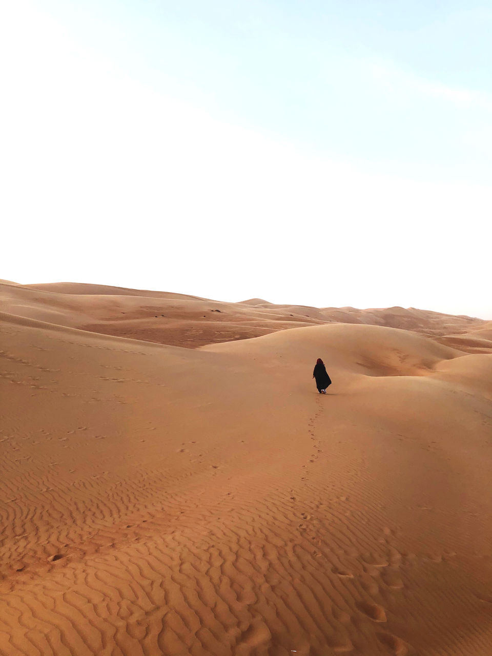 SAND DUNES IN DESERT AGAINST SKY