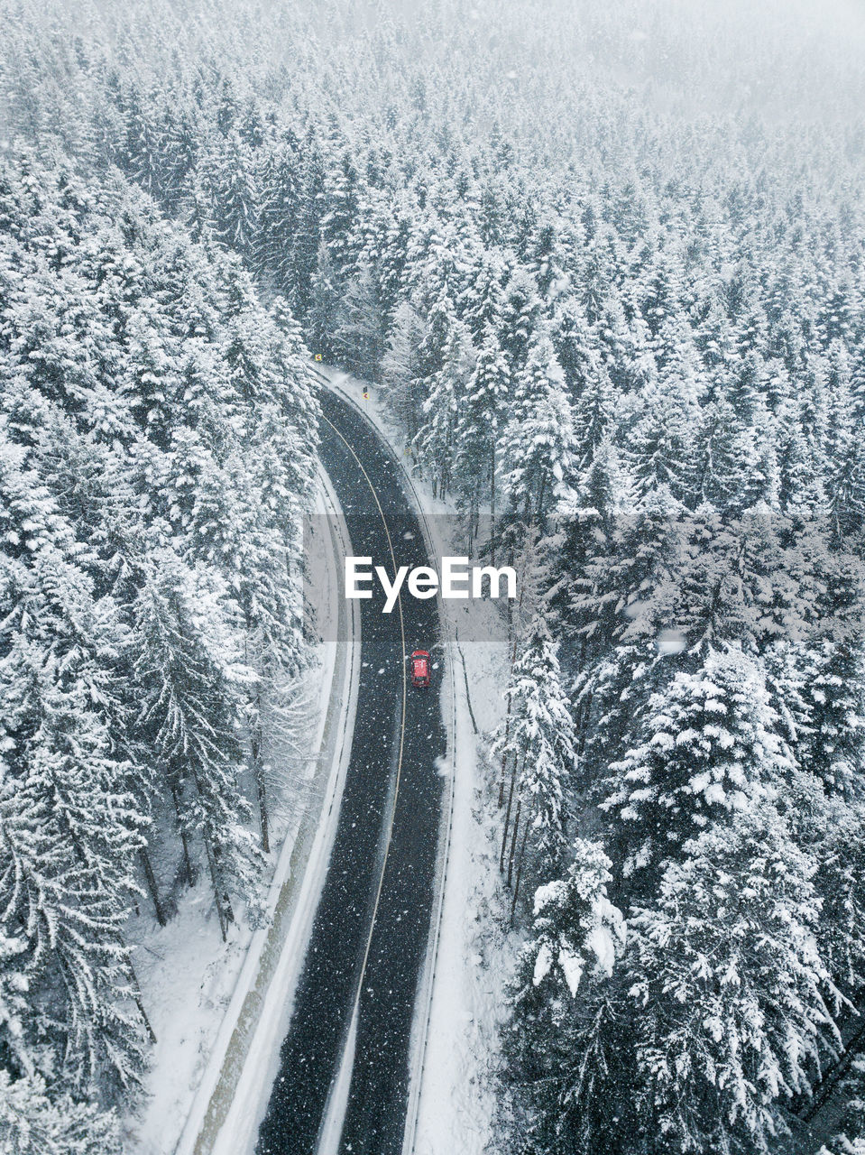 Aerial view of snow covered forest. a red car going between the trees on road. nature travel concept