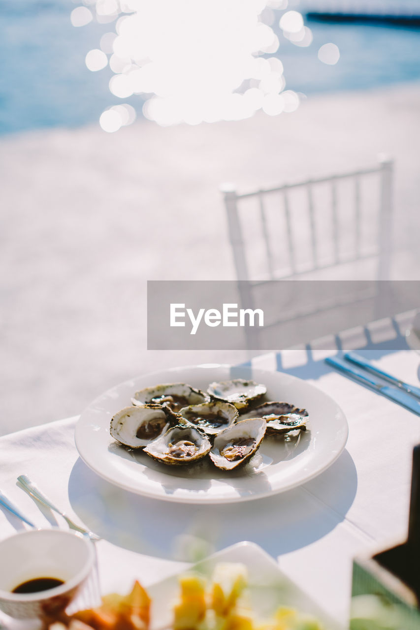 Close-up of oysters served in plate at poolside