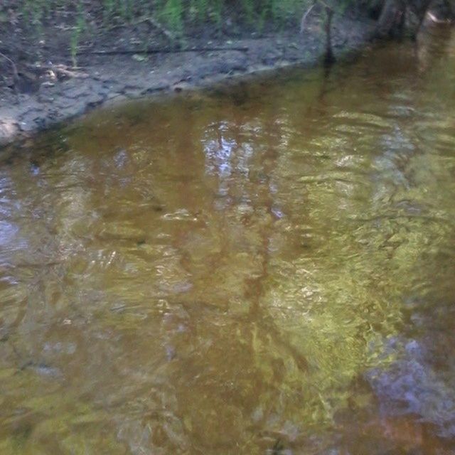 VIEW OF STREAM