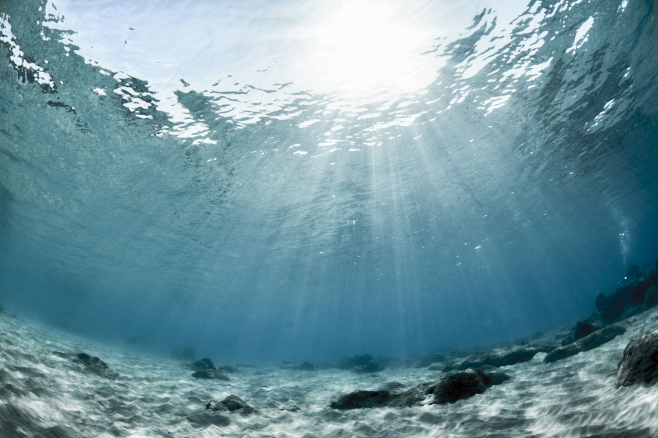 LOW ANGLE VIEW OF SWIMMING UNDERWATER AGAINST SEA
