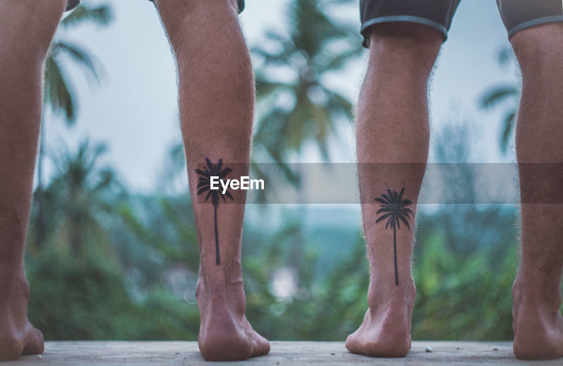 palm tree tattoo mens