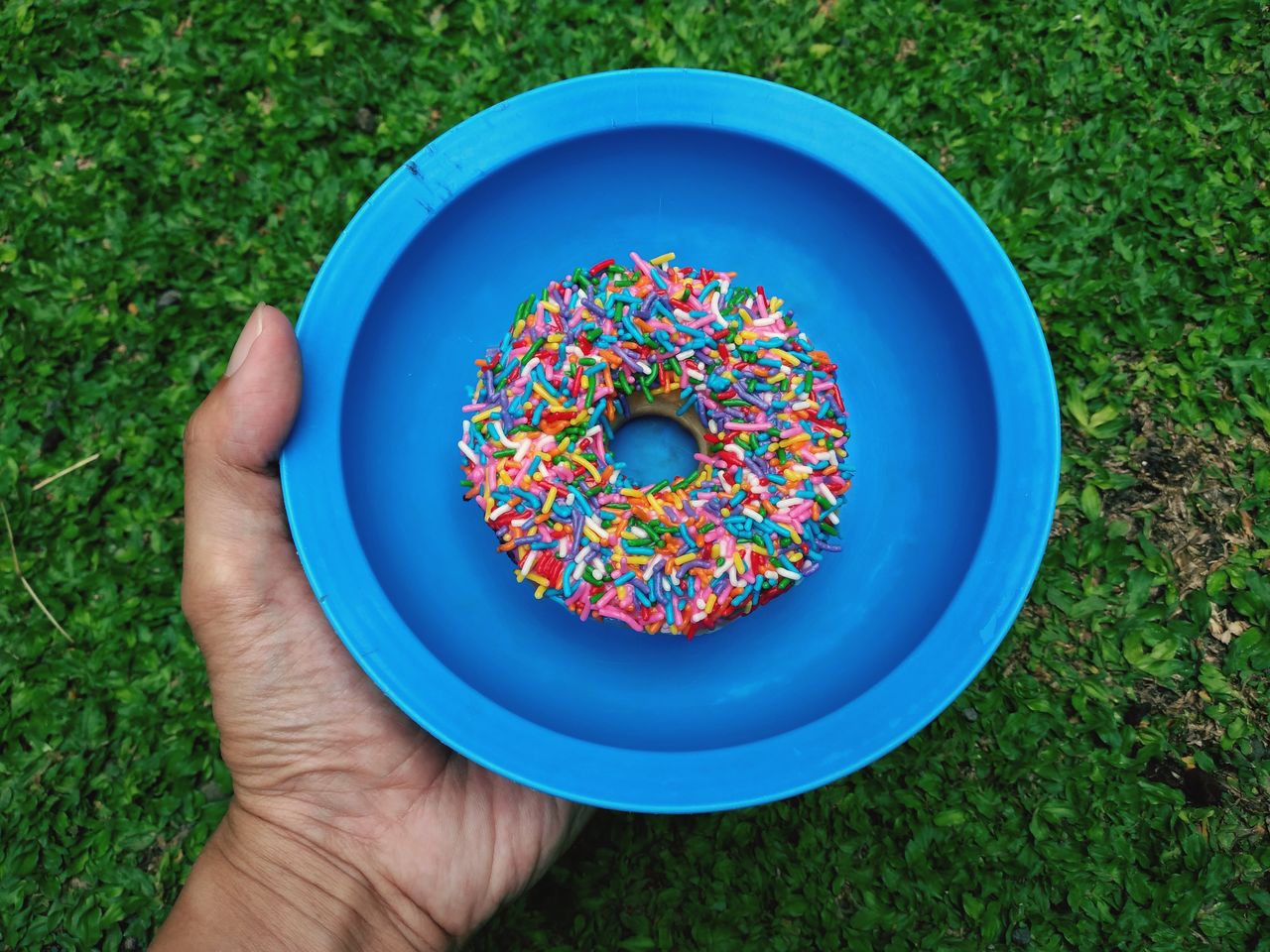Donut with colorful sprinkles on blue plate held by hand